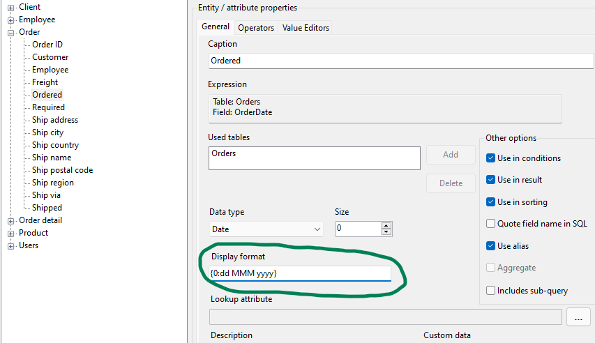 Display format for an entity attribute in DME
